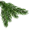 🎄