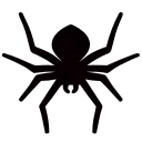 🕷