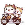 🛵