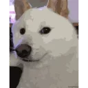 🐶