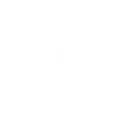 ⏲️