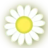 🌼
