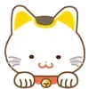 🐱