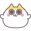 🐱