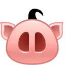 🐽