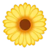 🌼