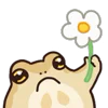 🌼