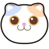 🐱