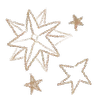 ✨