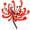 🌹