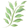 🌿