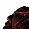 🌹