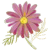 🌺