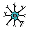 🩻