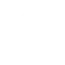 🔒