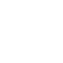 🌐