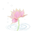 🌷