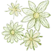 🌼