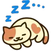 😴