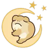 🌙