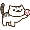 🐈