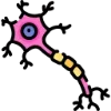 🩻