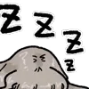 😴
