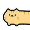 🐈