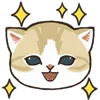 ✨