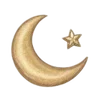 🌟