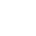 🪙