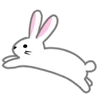 🐇