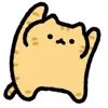 🐈