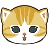 🐱