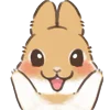 🐰