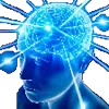 🧠