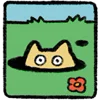 🐱