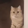 🚪