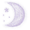 🌙