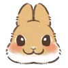 🐰