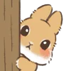 🐰