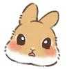 🐰