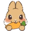 🥕