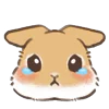 🥺