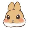 🐰