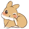 🐰