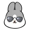 😎