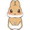 🐇