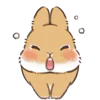 🐰
