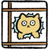 🐱